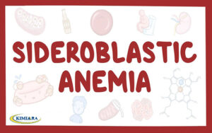 کم خونی سیدروبلاستیک