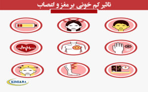 تاثیر کم خونی بر مغز و اعصاب