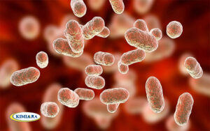 عفونت باکتریایی دستگاه گوارش