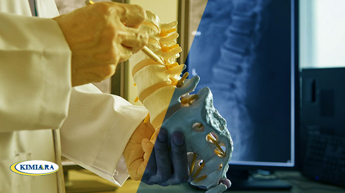 پیشگیری و درمان پوکی استخوان 2 پیشگیری و درمان پوکی استخوان