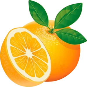 شرکت دارویی کیمیا آرا هرم 81 شرکت دارویی کیمیا آرا هرم