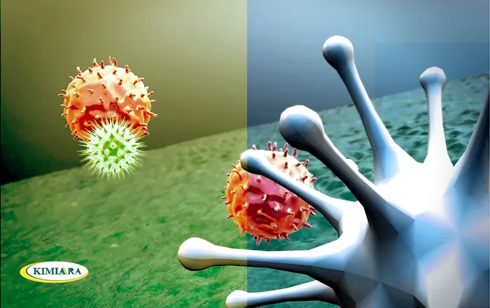 اثرات ضد اکسیدانی ویتامین C در جلوگیری از آسیب های اکسیداتیو 1 حفاظت از سلول ها و سیستم ایمنی بدن با ویتامین سی - ث - c