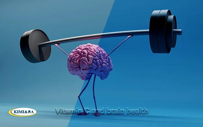 فواید ویتامین سی بر مغز