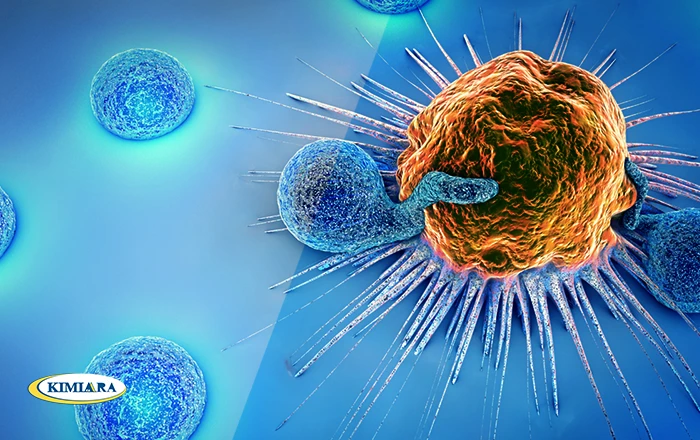 ویتامین D3 و ریسک بروز بیماری های سرطانی 5 سرطان و ویتامین دی