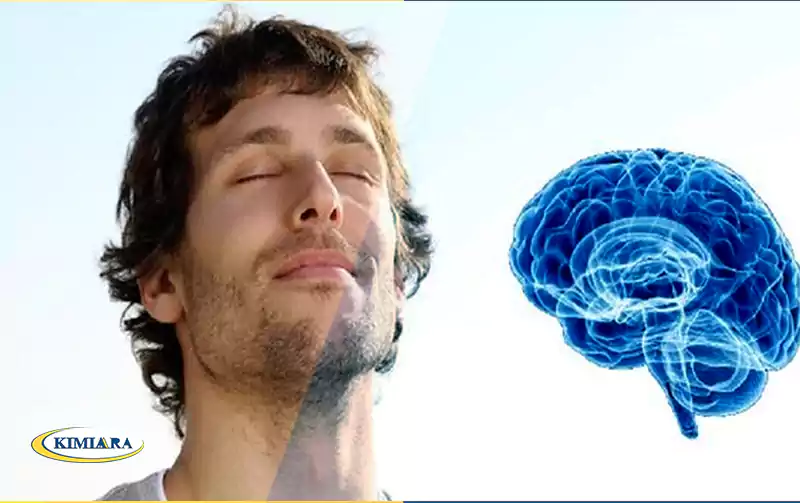 چگونه در ایام امتحانات حافظه خود را تقویت کنیم؟ 1 تقویت حافظه برای درس خواندن