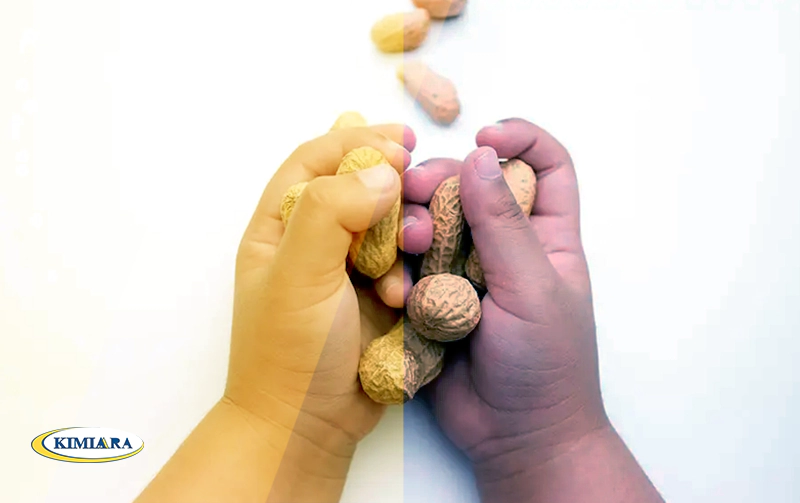 چه چیزهایی آلرژی زا هستند؟ 1 آلرژی زا