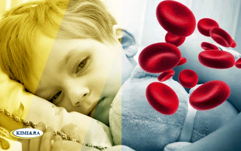 پیشگیری از کم خونی با ۵ راهکار 3 پیشگیری از کم خونی