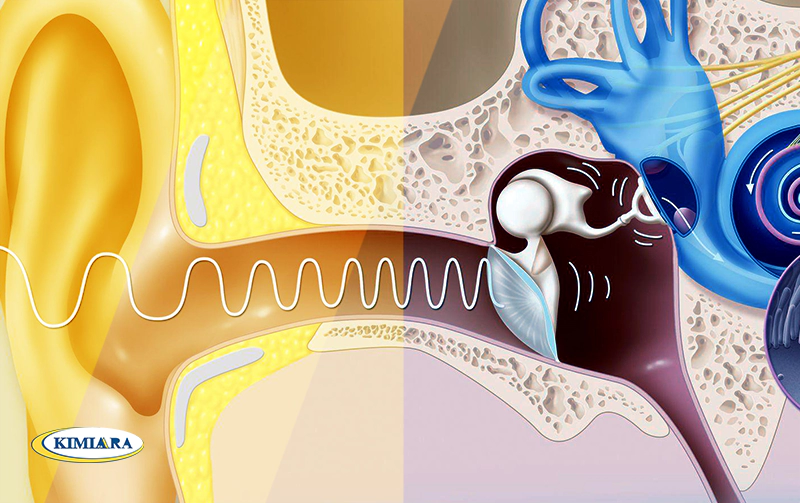 بهترین درمان گوش درد سرماخوردگی 1 درمان گوش درد سرماخوردگی