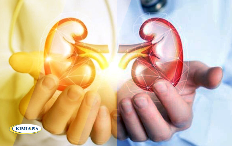 علایم کمبود کلسیم و راهکارهای درمان آن 2 علایم کمبود کلسیم