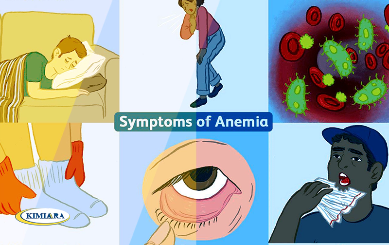 عوارض خطرناک کم خونی فقر آهن در نوجوانان 1 کم خونی فقر آهن در نوجوانان