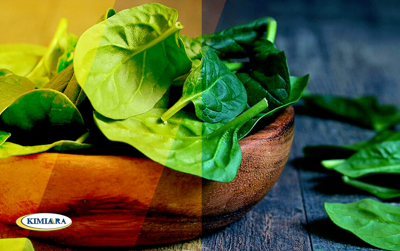 قویترین دارو برای درمان پوکی استخوان 2 درمان پوکی استخوان